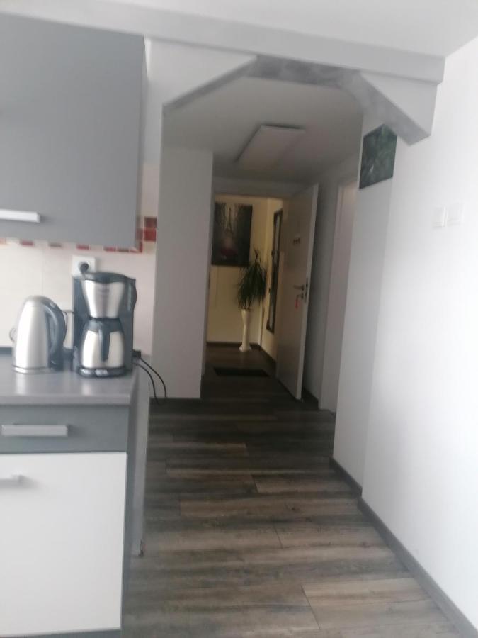 Ferienwohnung Andreea Sarrelouis Extérieur photo
